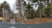 20150112_132541-5312×2988