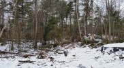20150112_132903-5312×2988