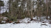 20150112_132907-5312×2988