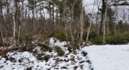 20150112_132912-5312×2988
